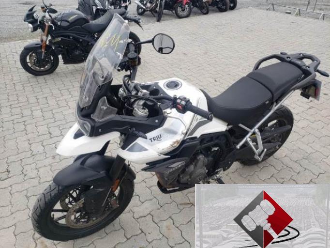 TRIUMPH TIGER 21/21
