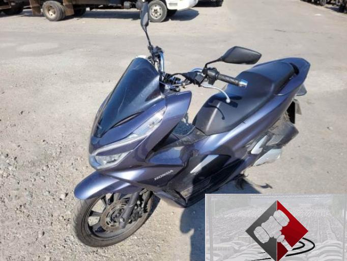 HONDA PCX 20/20