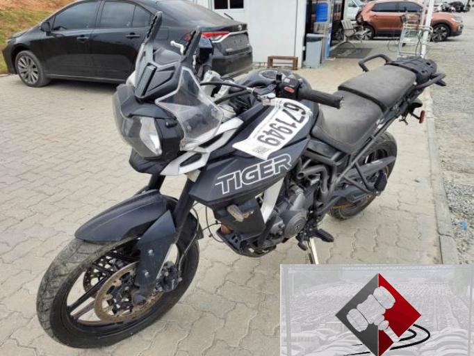 TRIUMPH TIGER 18/18