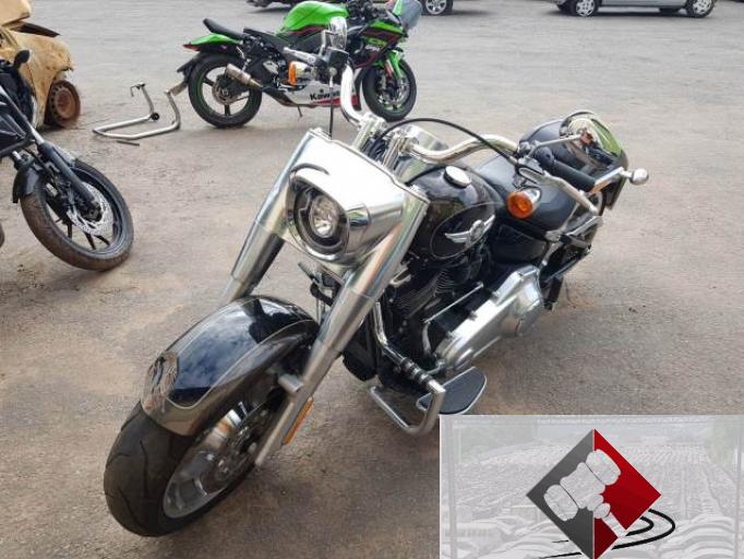 HARLEY DAVIDSON SOFTAIL 20/20
